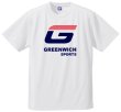 画像1: プロモTシャツ I (1)