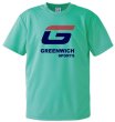 画像4: プロモTシャツ I (4)